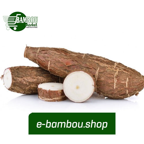 Manioc