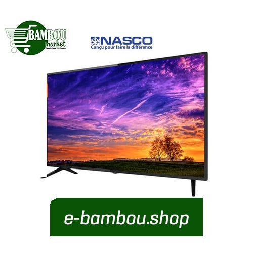 Nasco TV LED 32" - Décodeur Intégré - HD - Régulateur de tension - HDMI - USB - VGA - Noir