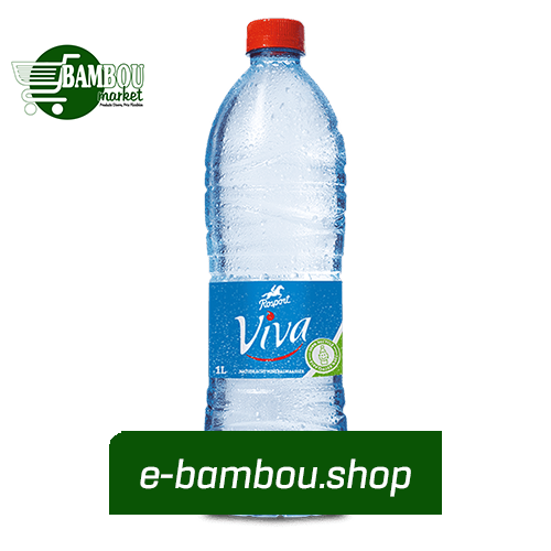 EAU MINERALE VIVA 1L